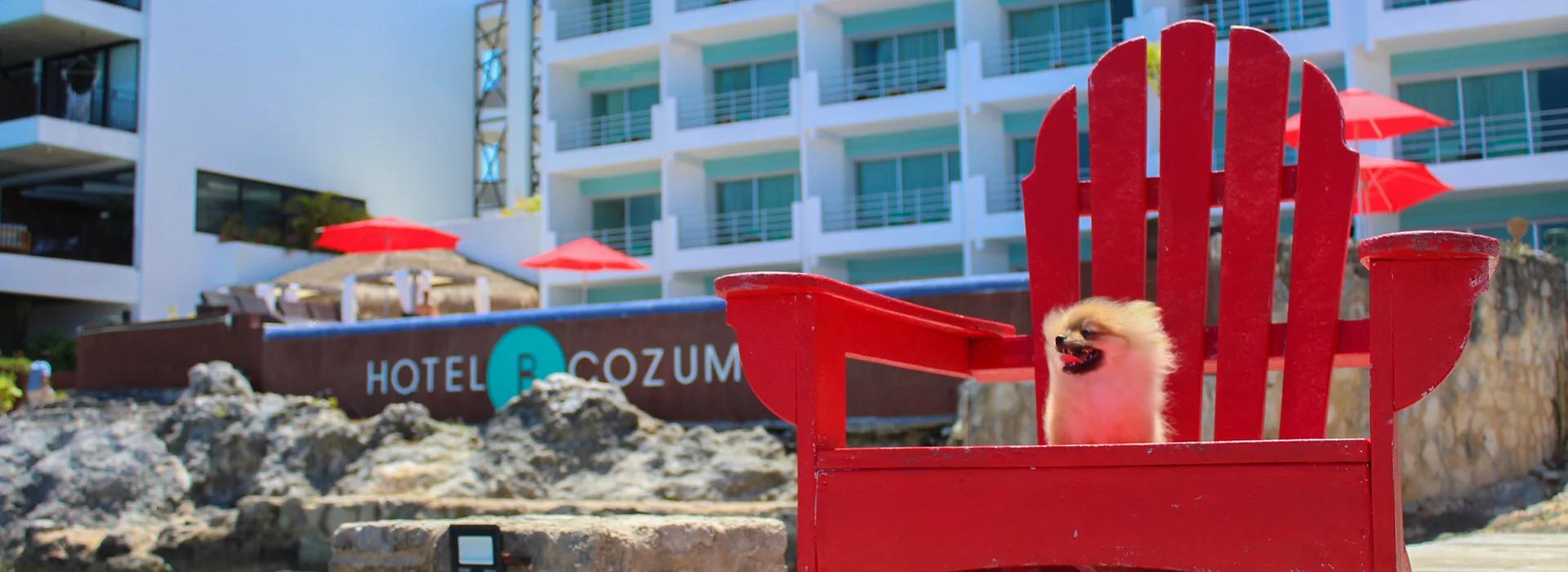 Hotel B Cozumel Hotel B Cozumel