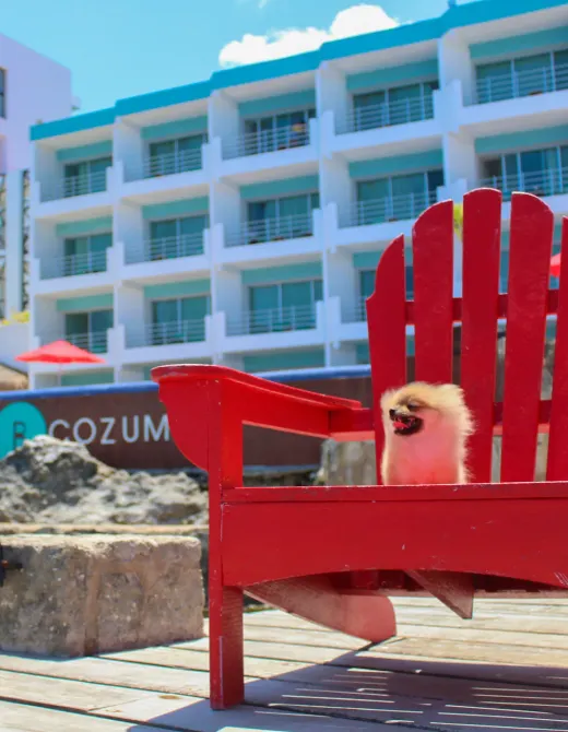 Hotel B Cozumel Hotel B Cozumel
