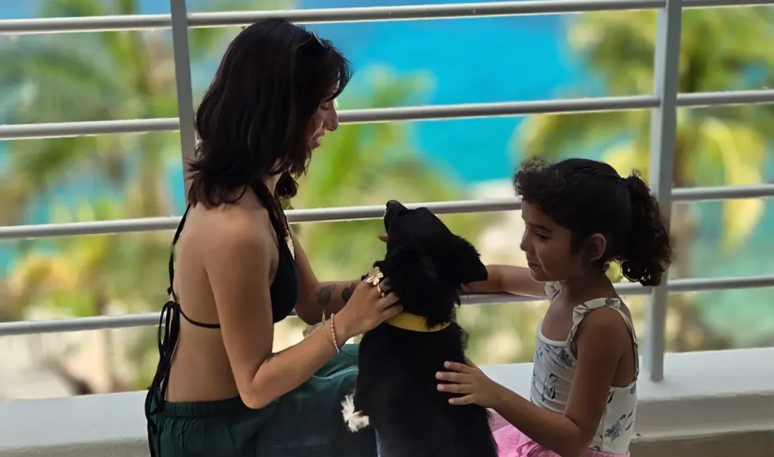 Dog Friendly Hotel B Cozumel Dog Friendly Hotel B Cozumel